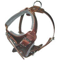 Padded Chest Plate Dog Harness for sharpei Padded Chest Plate Dog Harness for sharpei